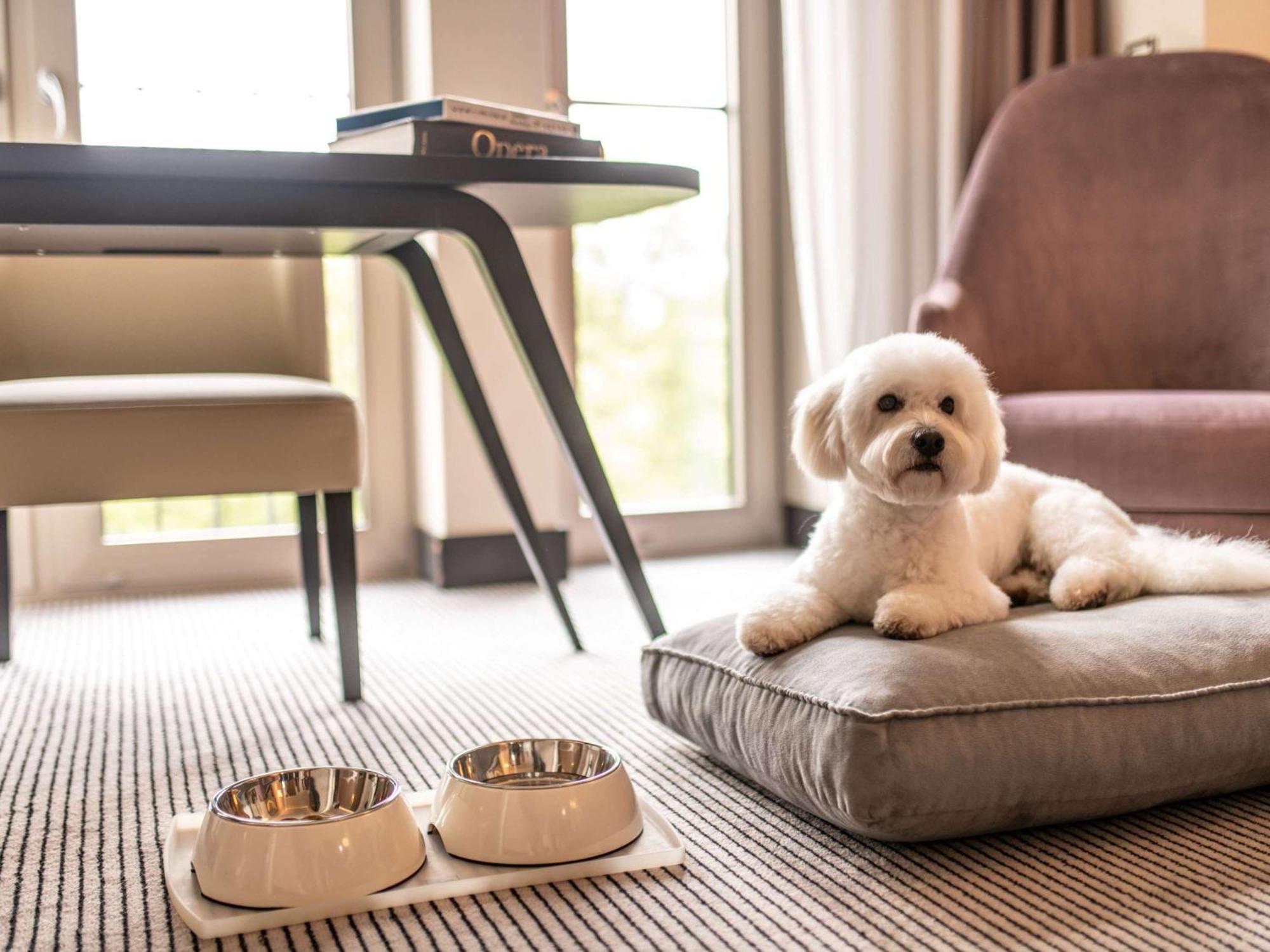 Hotel Sofitel Frankfurt Opera Frankfurt nad Mohanem Exteriér fotografie A dog at the Mandarin Oriental, Munich